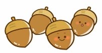 みどりの風長尾　どんぐり１