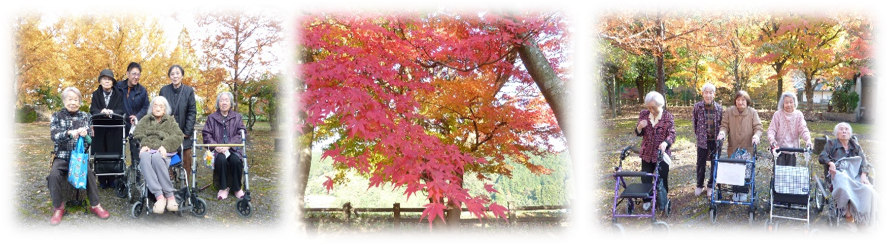 みどりの風長尾　紅葉狩り
