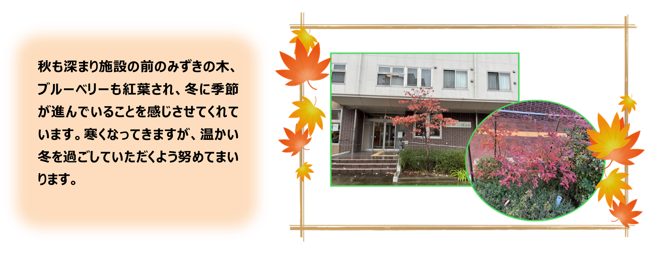 みどりの風長尾１