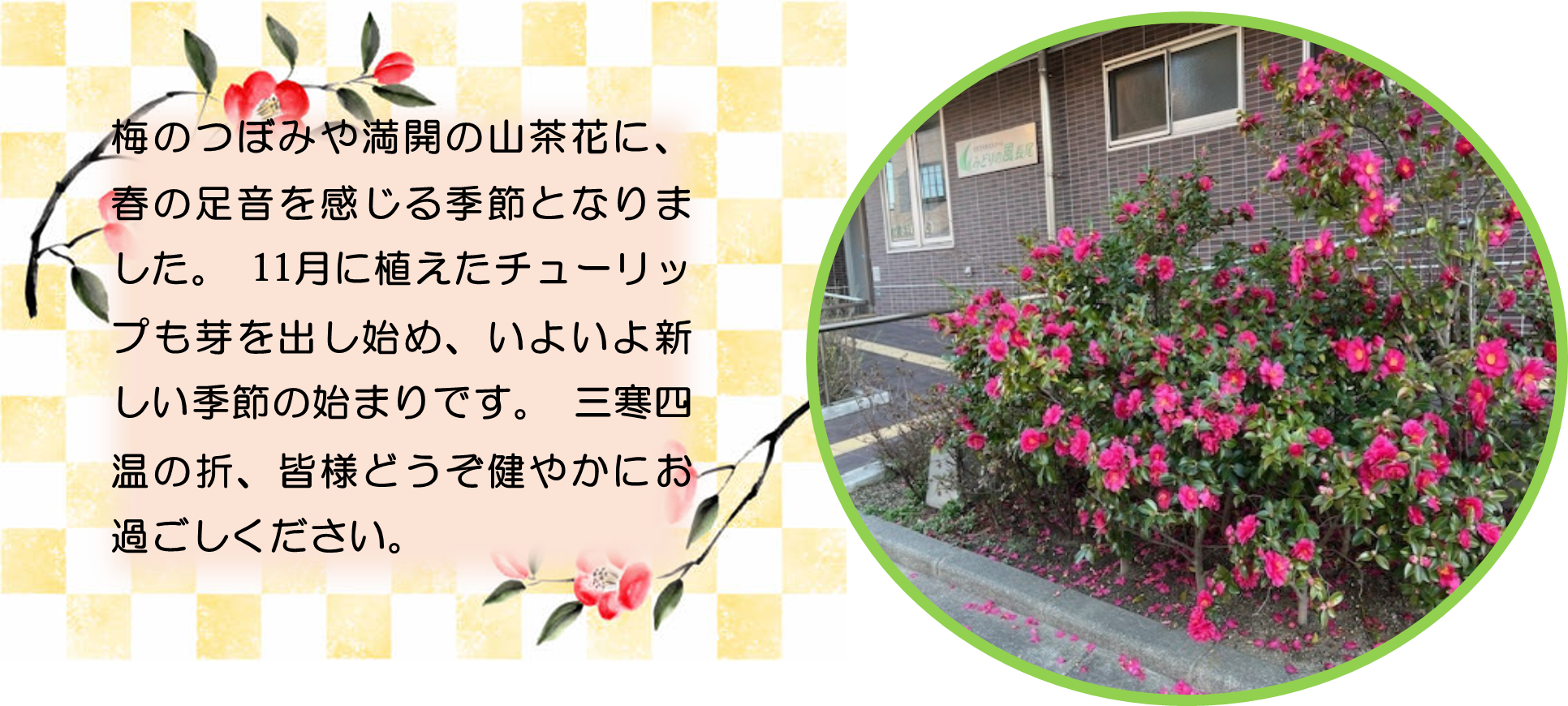 みどりの風長尾１