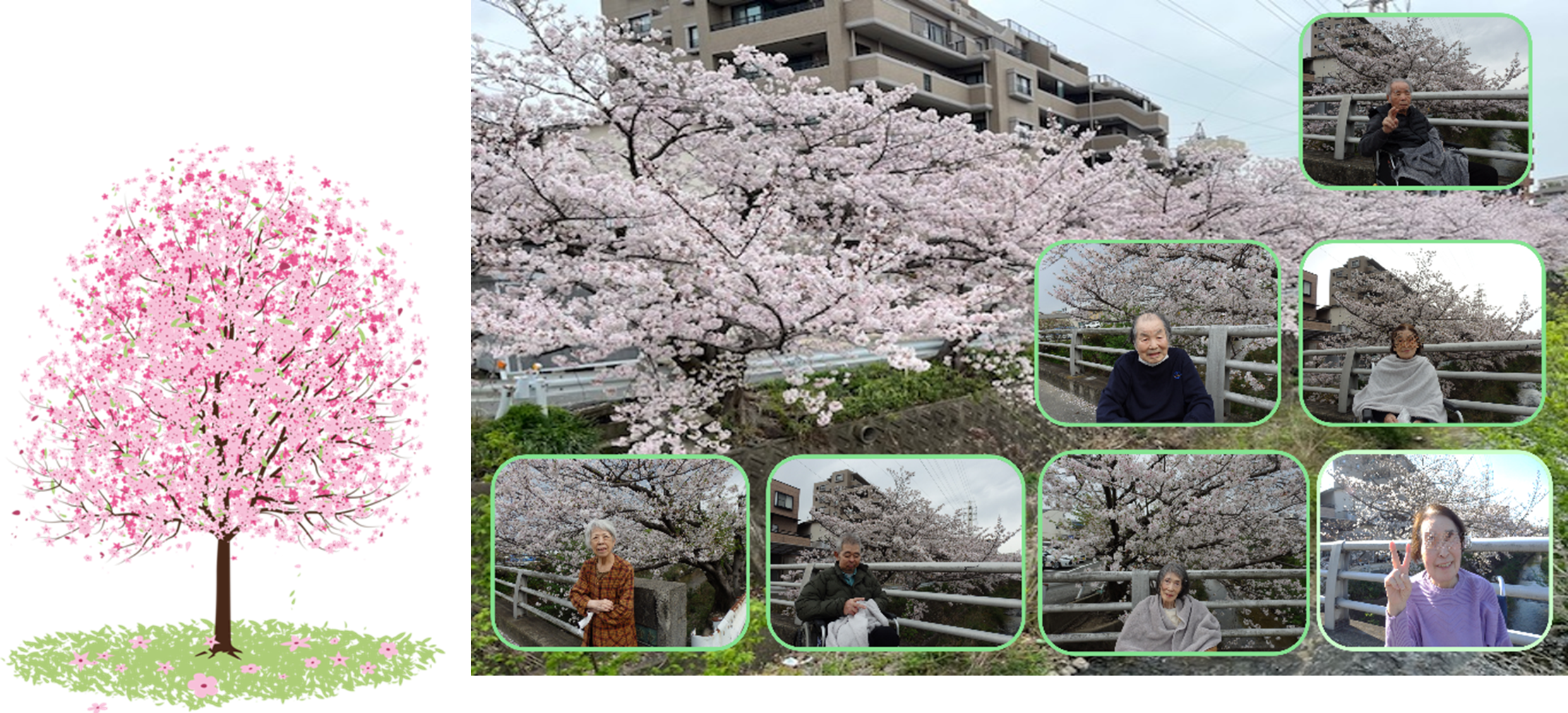 みどりの風長尾３