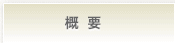 概要