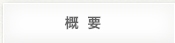 概要